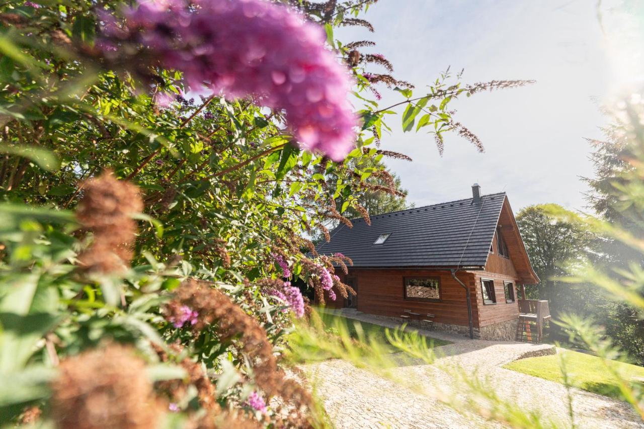 Moderni Sumavska Roubenka S Vyhledem Na Boubin Villa Vimperk Exterior photo